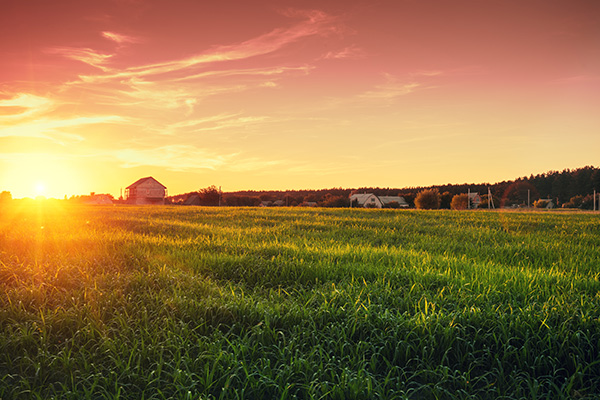 A Family Farm and Your Estate Plan Image